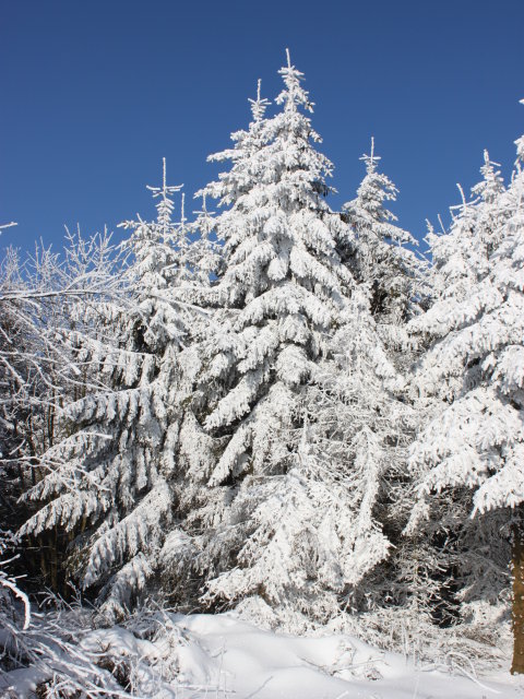 Winter in der Rh�n